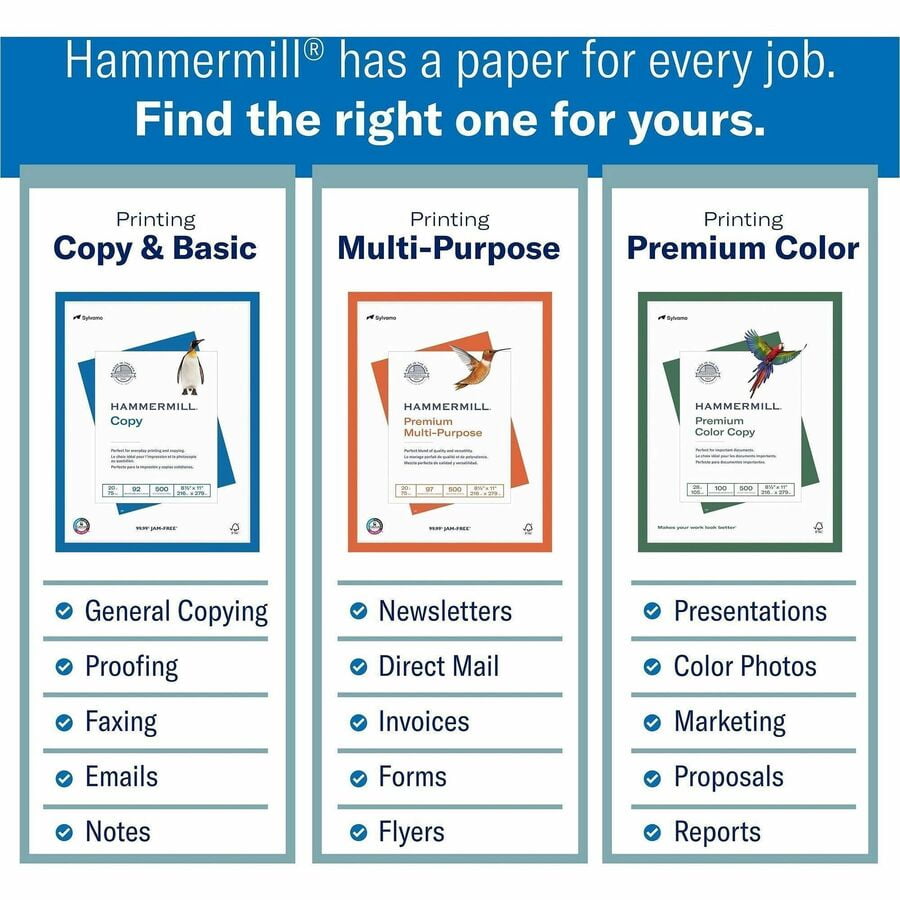 Hammermill 8.5" x 11" Colored Copy Paper 20 lbs. Canary 500 Sheets/Ream 10/Reams (103341CT)