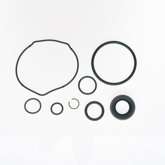 Edelmann 8931 Power Steering Pump Seal Kit 1 Pack