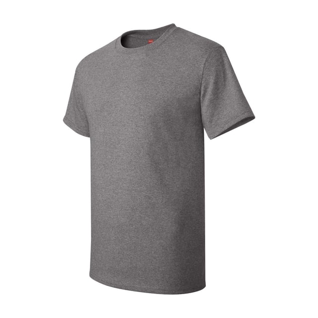Hanes Men's Authentic-T T-Shirt - 5250T (Pack Of 3)
