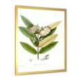 thumbnail image 2 of Designart 'Ancient Blossoming Flower II' Traditional Framed Art Print, 2 of 4
