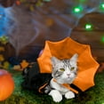 thumbnail image 3 of Vggrvlo Pet Halloween Costumes Pet Dracula Costumes for Kitten (Orange), 3 of 6