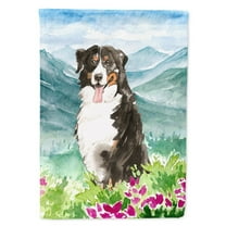 Carolines Treasures CK2547GF Mountain Flowers Bernese Mountain Dog Flag Garden Size  Small multicolor