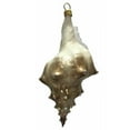 thumbnail image 2 of Brown and White Jeweled Seashell Polish Glass Christmas Ornament Shell Coastal, 2 of 3