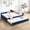Navy, variant on Full Size Sleeper Sofa, Upholstered Daybed with Trundle,sturdy wooden bed frame, modern diamond grid design,for Bedroom, Guest Room (Emerald), Emerald Sofa Beds,Velvet Convertible Sofa Beds