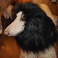 thumbnail image 1 of Mascota Disfraz Lion Mane Peluca Para Perro Negro-97251.01 Likrtyny 5qk2al2dm3ll3az4D01, 1 of 8
