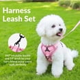 thumbnail image 6 of Exclusivo Mezcla Pet Harness and Leash Set, Adjustable Reflective Walking Dog Harness for Small Dogs, No Pull Soft Mesh Puppy Harness, Pink, S, 6 of 7