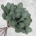 thumbnail image 5 of 30 Pcs Artificial Eucalyptus Stems,Fake Silver Dollar Eucalyptus Leaves Stem Faux Leaf for Wedding Bouquets, Flower Arrangements, Tables Centerpieces, Home Decor, 5 of 8