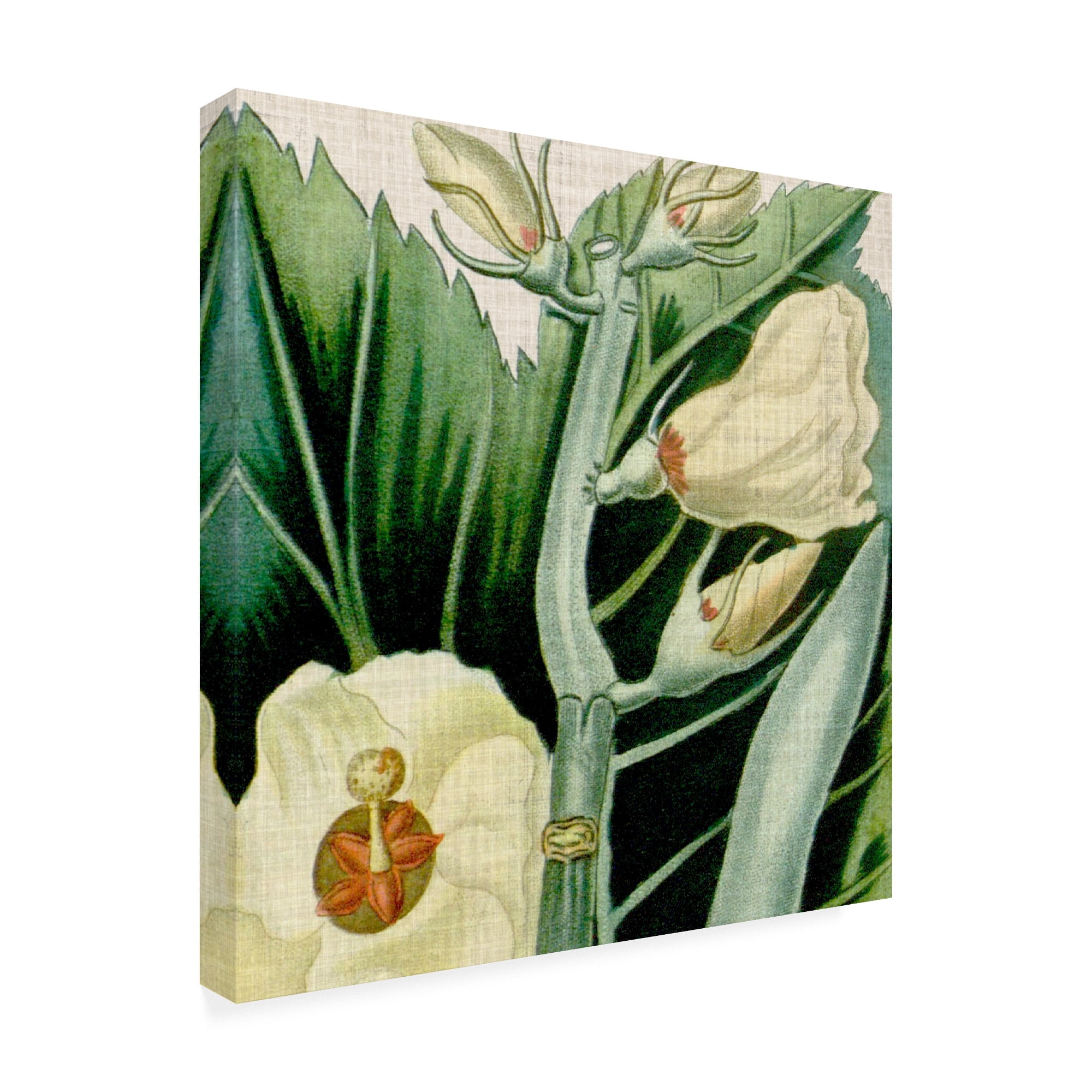 Trademark Fine Art 'Cropped Turpin Tropicals III' Canvas Art by Vision Studio