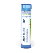 Boiron Ledum Palustre 12C, Homeopathic Medicine for Insect Bites or Bruising Relief, 80 Pellets