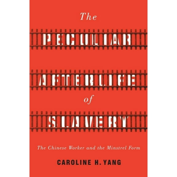 Asian America: The Peculiar Afterlife of Slavery (Hardcover)