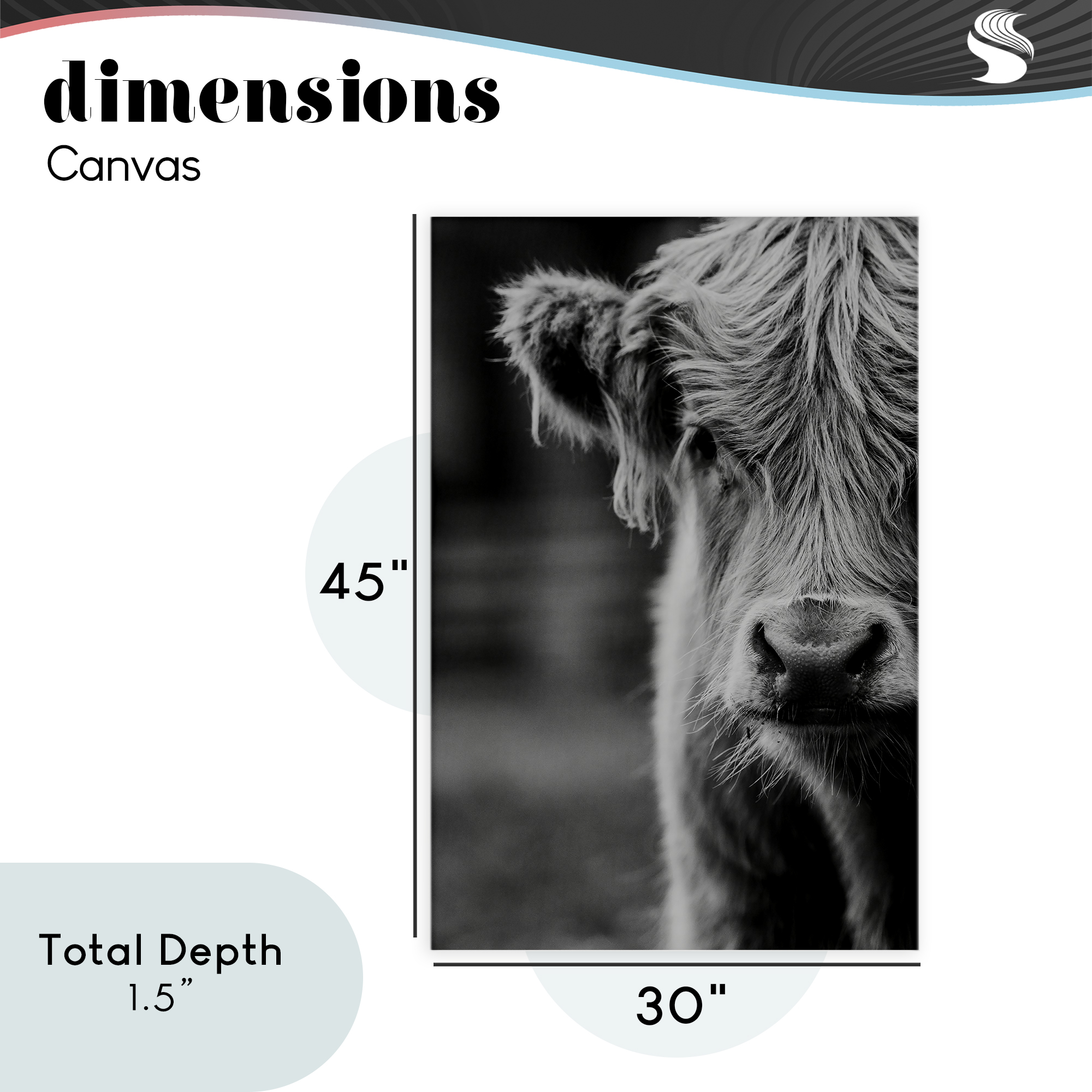 Baby Cow Face Canvas Wall Art, design by Amy Carroll
