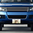 thumbnail image 4 of Tabby Cat Watercolor Design With Daisies Metal Novelty License Plate, 4 of 7