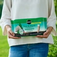 MiracleGro Fruit Sticks Fertilizer for Trees & Shrubs Vibrant Blooms
