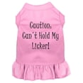 thumbnail image 3 of Dog Dress, Pet Dog  Cat Dress Screen Printed, "Can't Hold My Licker", 3 of 11