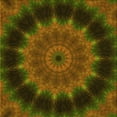 thumbnail image 1 of Ahgly Company Machine Washable Indoor Square Transitional Dark Yellow Green Area Rugs, 4' Square, 1 of 7