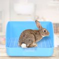 thumbnail image 4 of unbranded Sanitaria Para Conejos Y Cobayas Con Duradero Color Azul, 4 of 8