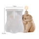 thumbnail image 5 of Silicona Humana, Modelo De Arcilla Desnuda 3D, Molde Para Hacer Velas, Herramienta De Patrón De Jabón, Multiusos Para Manualidades Diy, Festival De Arte, Atmósfera N.° 1 Monstrate HA042960-02, 5 of 6