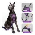 thumbnail image 4 of Pechera Para Perro Arnés Ajustable Reflectantes Con Correas, 4 of 8