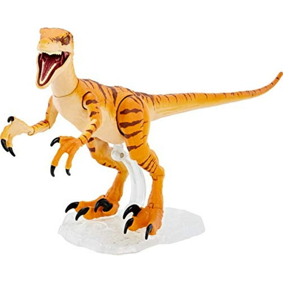 Jurassic World Amber Collection Tiger Velociraptor 6-in Dinosaur Action Figure, Movie-Authentic Detail, Movable Joints & Figure Display Stand, Collectible Gift 8 Years & Up