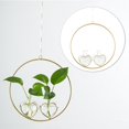 thumbnail image 4 of Planta de Hidroponía Florero Planta de Aire Pecera Flor Terrario Artes , 2 florero Macarena Florero de hidroponía, 4 of 7