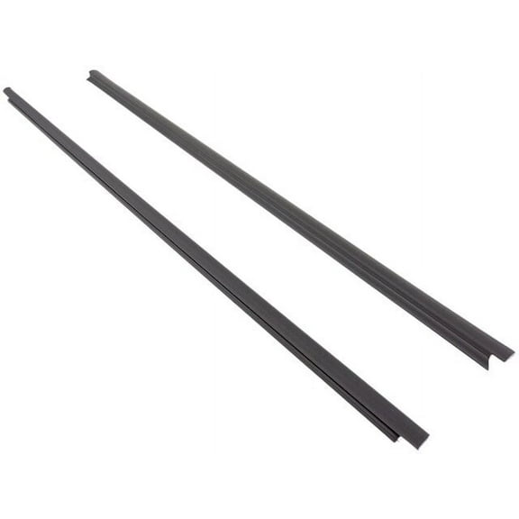 Door Belt Molding 2 Piece Set - Compatible with 1994 - 2002 Dodge Ram 2500 1995 1996 1997 1998 1999 2000 2001