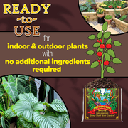 FoxFarm Happy Frog Potting Soil, 12qt (Pack of 5) - Ready-to-Use Amended Container Blend with Soil Microbes, Earthworm Castings, Bat Guano, and Aged Forest Products for Indoor & Outdoor Plants