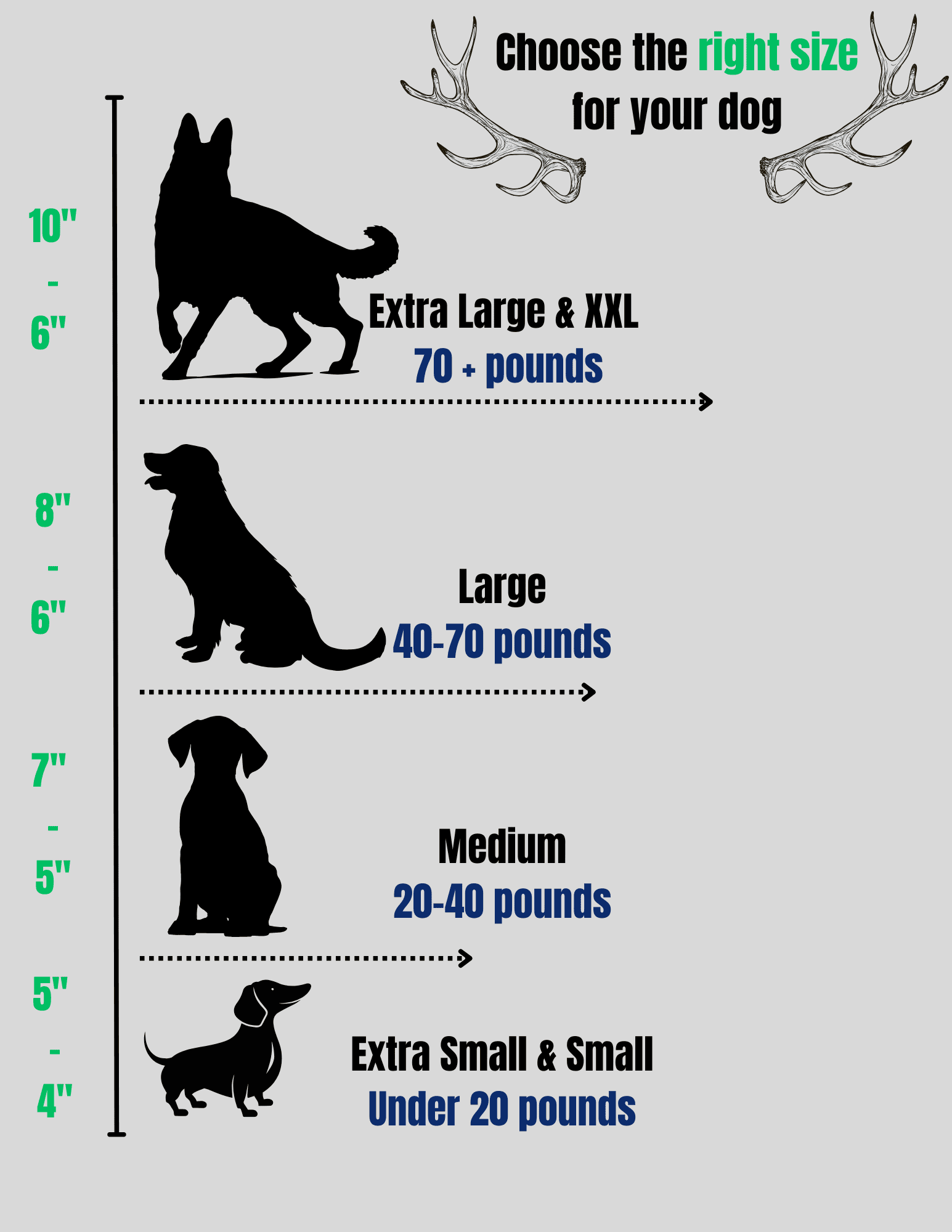 TM Antlers XL Whole Elk Dog Chew – Durable, Naturally Shed Treat for Large & Extra Large Dogs (Whole: 6”-10”, X-Large, 1-Pack)