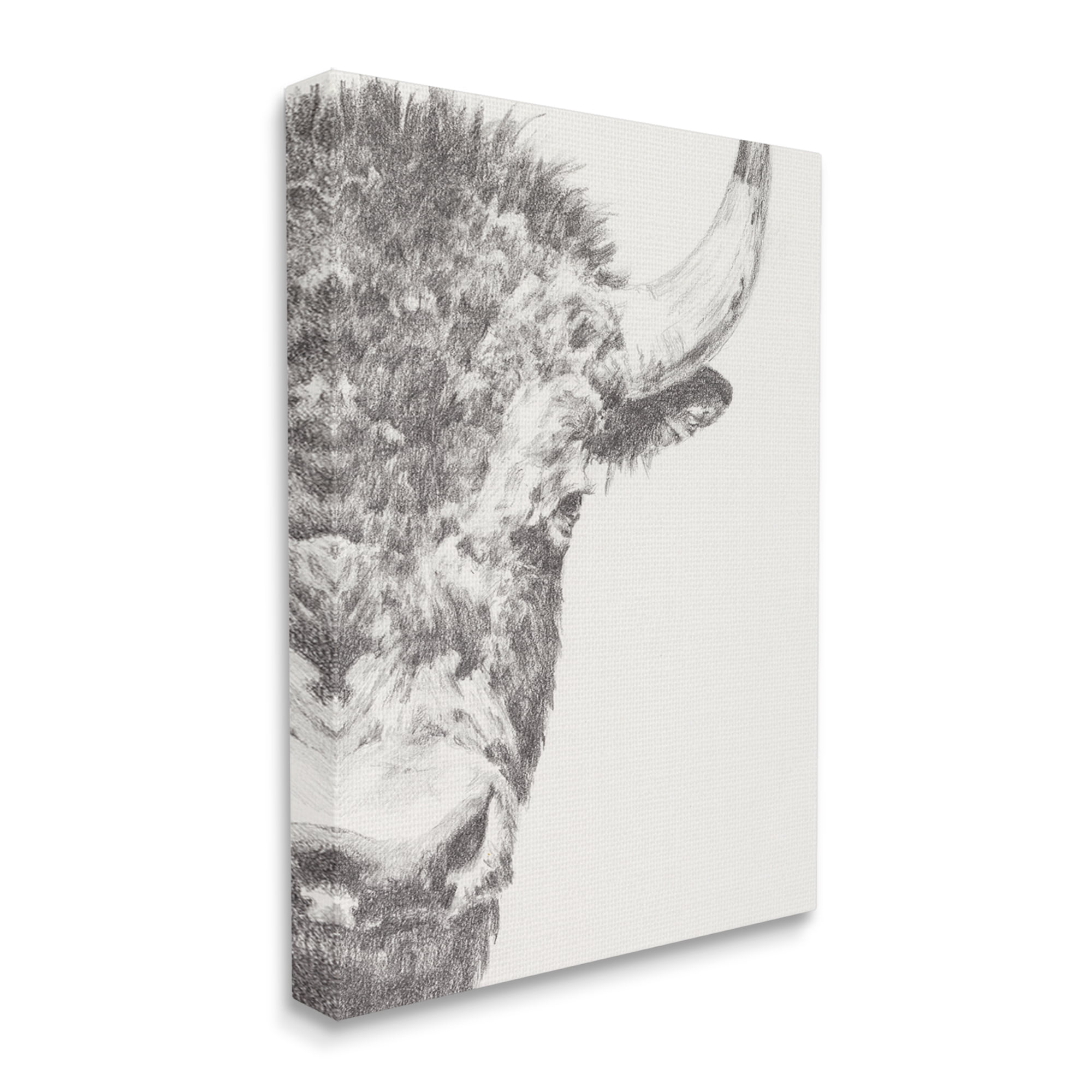 Stupell Industries Rural Bison Animal Drawing Detailed Graphite Wildlife Drawing Print Gallery Wrapped Canvas Print Wall Art, Design by Ethan Harper