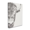 thumbnail image 3 of Stupell Industries Rural Bison Animal Drawing Detailed Graphite Wildlife Drawing Print Gallery Wrapped Canvas Print Wall Art, Design by Ethan Harper, 3 of 7