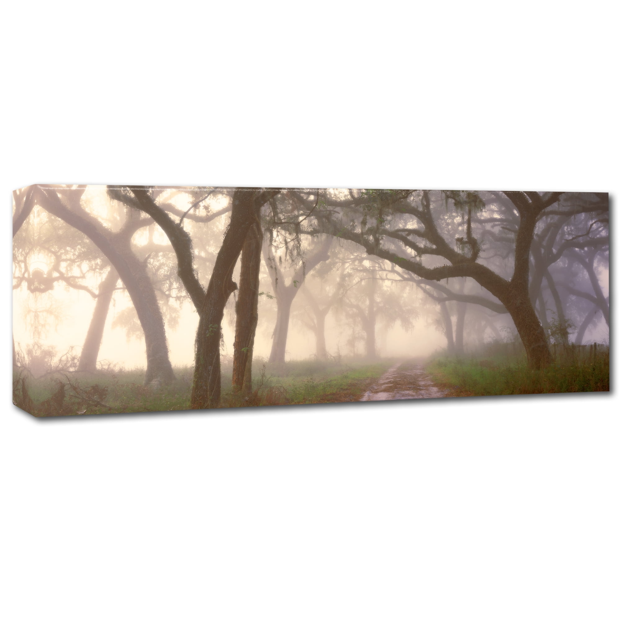 Trademark Fine Art 'Dawns Early Light' Canvas Art by Doug Cavanah