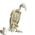 thumbnail image 6 of Eosunjian Halloween Skeleton Animal Decoration Creepy Cat/Dog/Bird/Rat/Goat Head Plastic Bones for Courtyard Graveyard Halloween Decor, 6 of 13