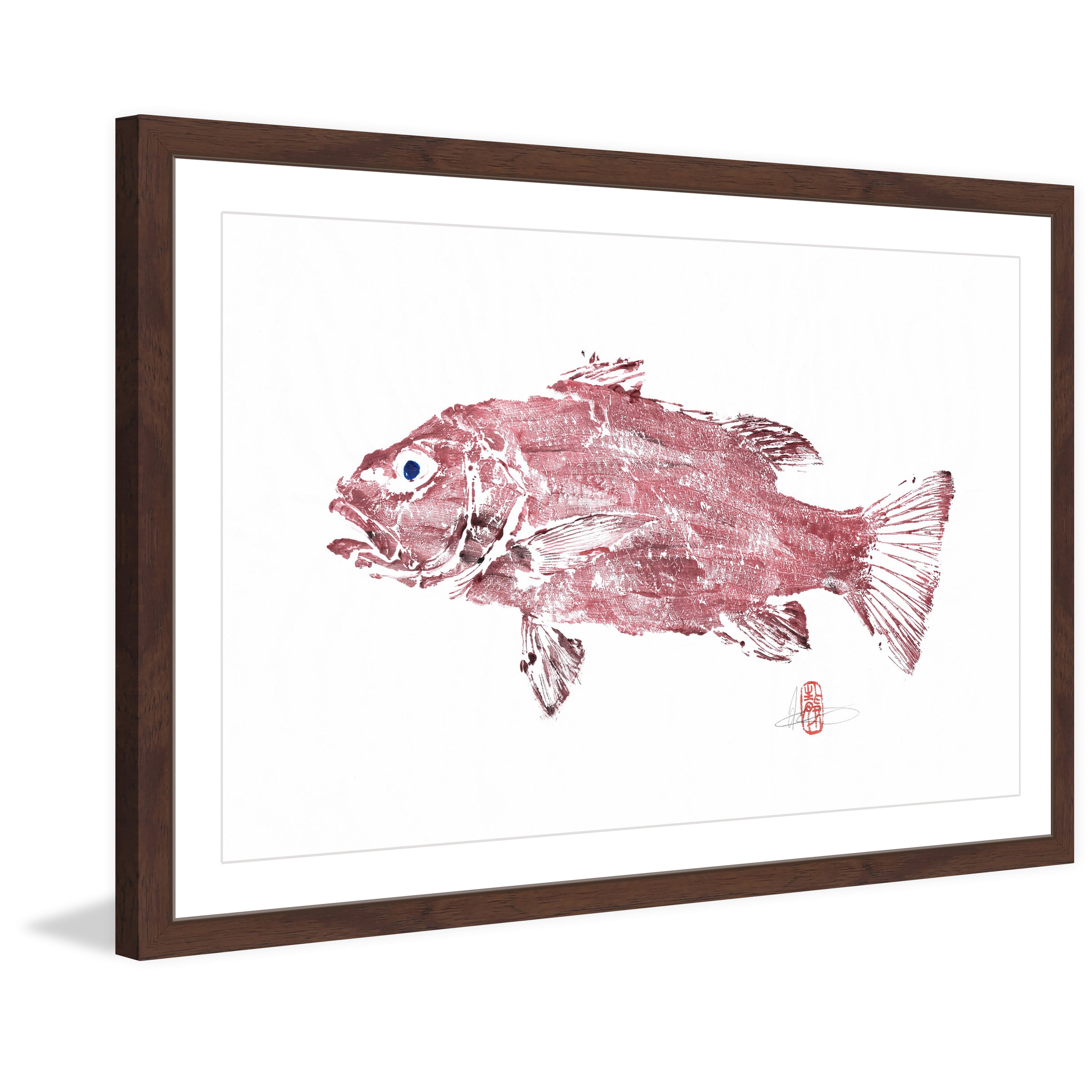 "Cubera Snapper" Framed Painting Print