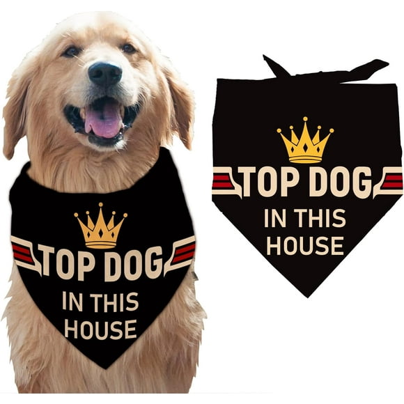 1 Pc Pet Dog Bandana Black Cotton Triangle Pet's Bandana Top Dog in This House Words Paws Washable Scarf Bibs Printed Accessories Chief for Large Dogs and Pets 55x55x78cm