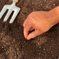 thumbnail image 4 of Ferry-Morse Sow Easy 1G Pepper Mini Belle Blend Annual Vegetable Seeds Full Sun, 4 of 4