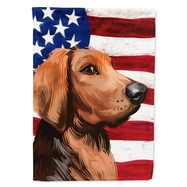Carolines Treasures CK6652GF Polish Hound Dog American Garden Size Outdoor-Flags, Multicolor