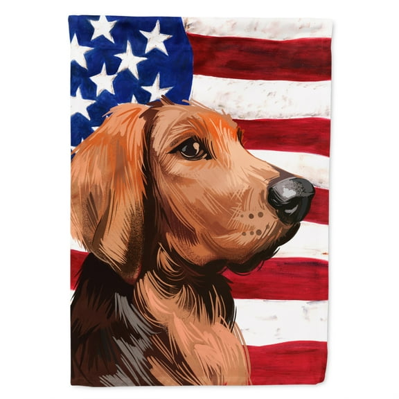 Carolines Treasures CK6652GF Polish Hound Dog American Garden Size Outdoor-Flags, Multicolor