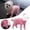 B, variant on Full-Coverage Dog Raincoat, Lightweight, Comfortable, Adjustable & Easy to Wear Dog Rain Jacket, Detachable Cap, Reflective Strip (Mint, S)