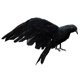 thumbnail image 1 of Cuervos con Plumas Negras, Pájaros, Cuervos Artificiales, Accesorios, Decoración de de Halloween, 1 of 9