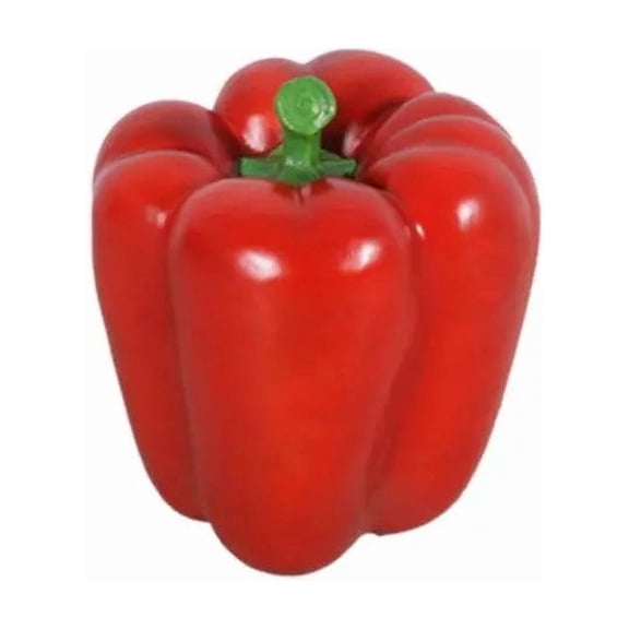Vegetable Bell Pepper Red Over Sized Restaurant Prop Resin Statue
