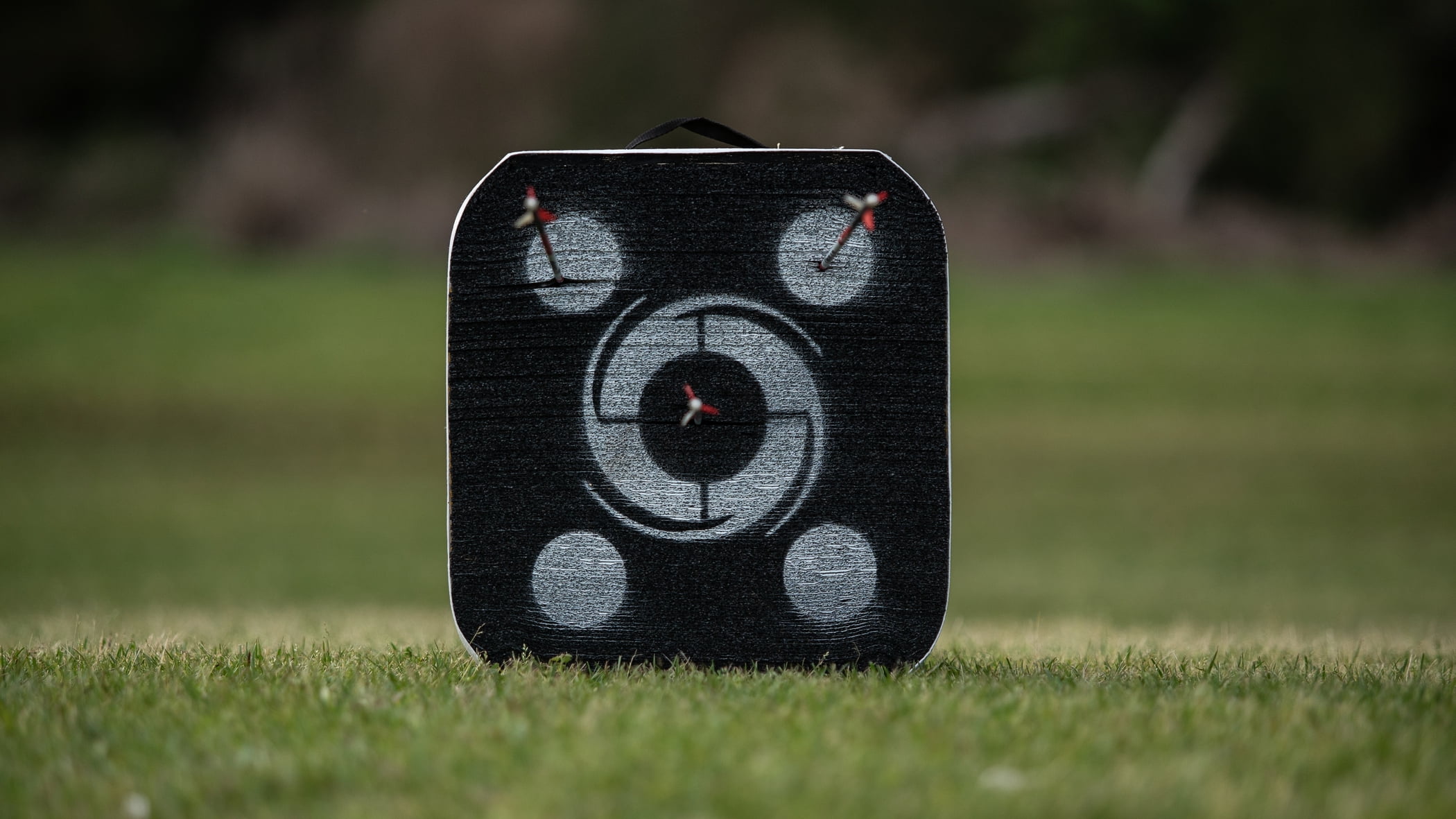 Black Hole Shooter Buck Combo Targets