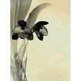 thumbnail image 2 of Burghardt, James 19x24 White Modern Wood Framed Museum Art Print Titled - Orchid Blush Panels I, 2 of 4