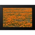 thumbnail image 2 of Peterson, Lee 18x13 Black Modern Framed Museum Art Print Titled - California Poppies II, 2 of 5