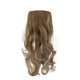 thumbnail image 5 of Pieza de Extensión de Peluca Pieza de Peluca de Pelo Largo y Rizado con Gradual de Color con Redecilla 2 Clips y Cuerda Elástica Postizos Sintéticos para Mujeres y ANGGREK Otros, 5 of 8
