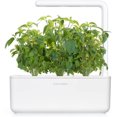 thumbnail image 2 of SHIQI-Smart Garden Thai Basil Plant Pods, 9-Pack, 2 of 4
