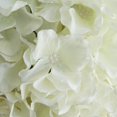 thumbnail image 2 of Efavormart 4 Pack 7" Cream Silk Hydrangea Kissing Flower Balls Wedding Centerpieces Decoration, 2 of 10