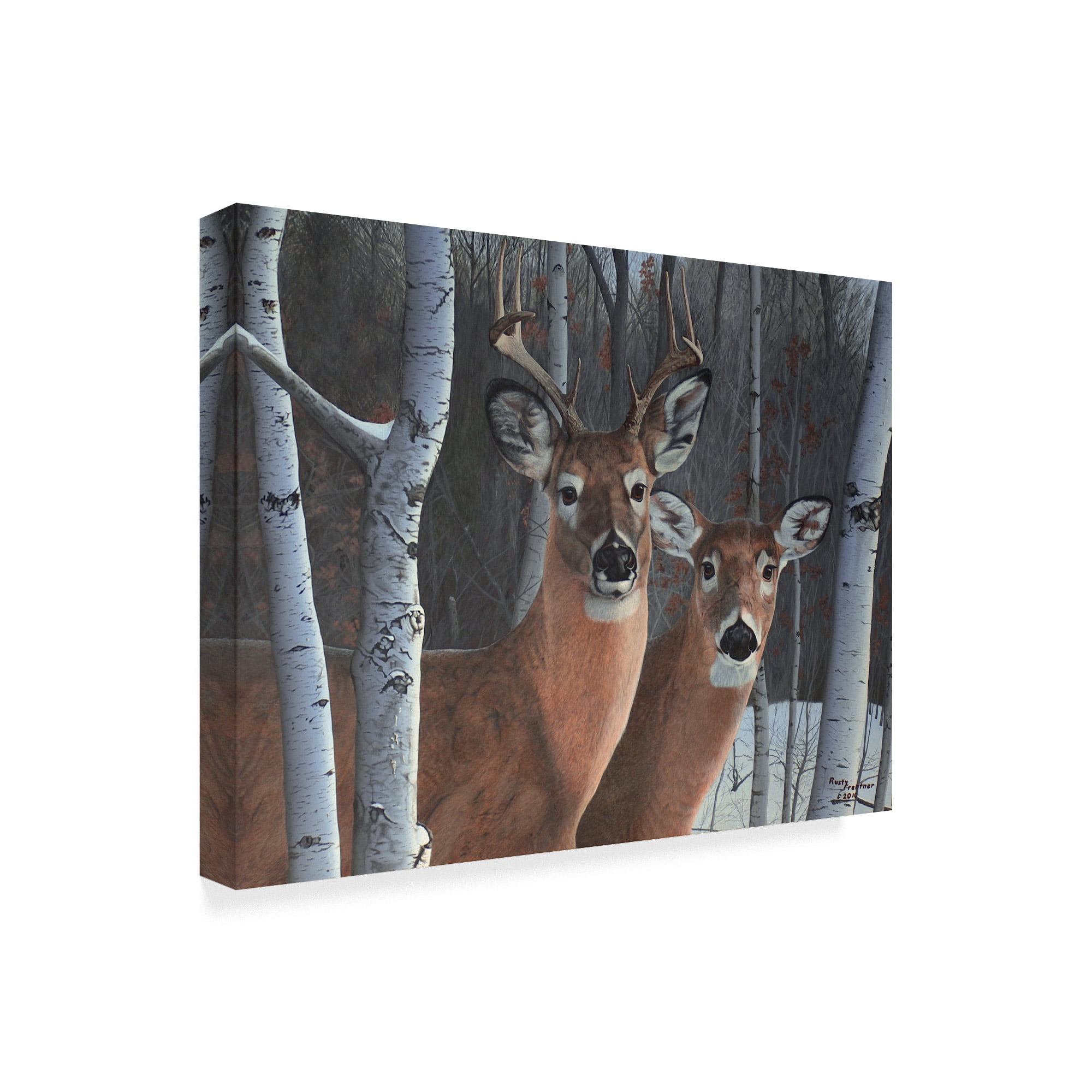 Trademark Fine Art 'Deer Magic' Canvas Art by Rusty Frentner