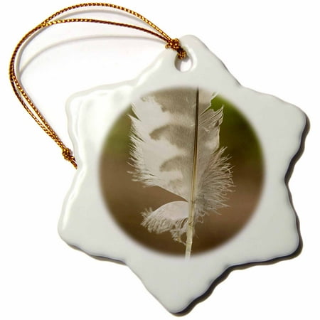 White Feathered Owl Ornaments 3dRose Barred owl feather, Stanley Park, British Columbia-CN02 PCL0195 - Paul Colangelo - Snowflake Ornament, 3-inch ()