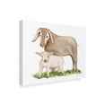 thumbnail image 2 of Trademark Fine Art 'Life on the Farm Animal Element II' Canvas Art by Kathleen Parr McKenna, 2 of 3