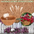 thumbnail image 3 of 3Pcs Coconut Liners Round Coco Coir Hanging Basket Liners 100% Natural Coconut Liners for Planters Coconut Basket Liners for Flowers Vegetables Indoor Outdoor Plants, 3 of 7