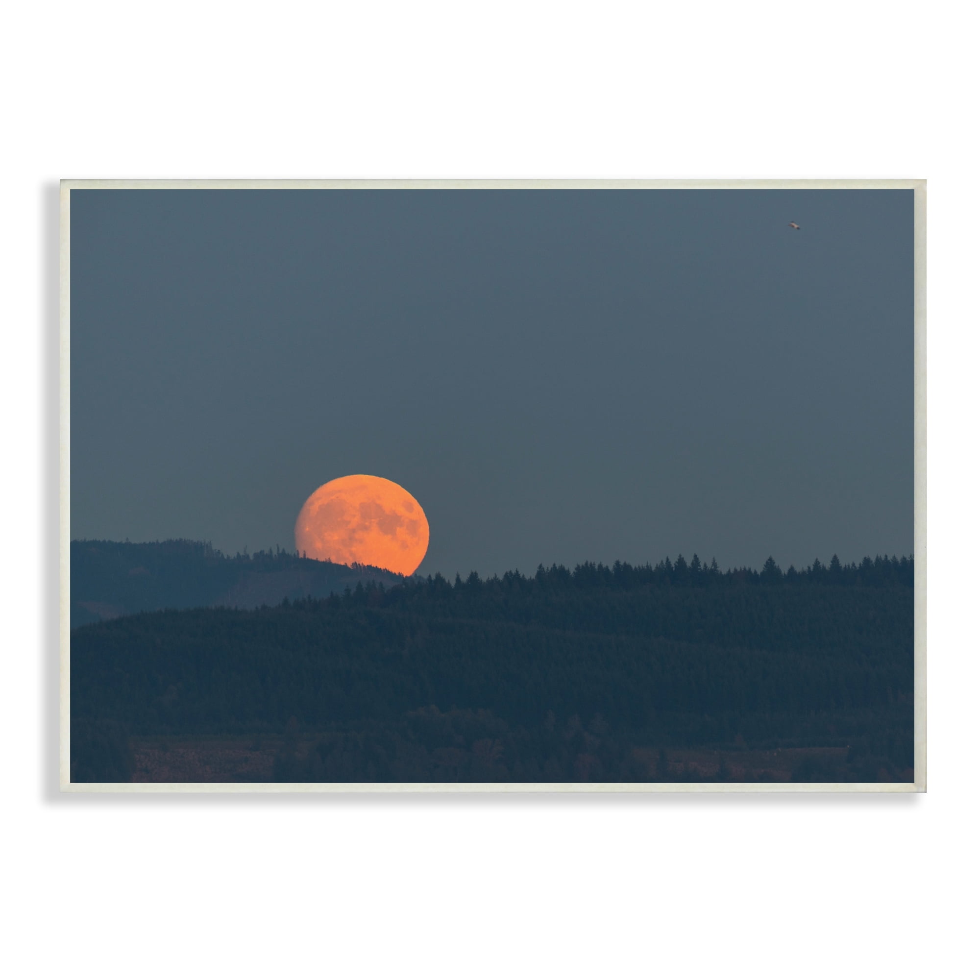 Stupell Industries Orange Moon over Dark Mountain Tree Forest,13 x 19,Designed by Nancy Crowell